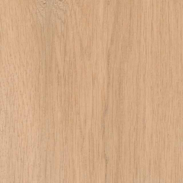 Reed